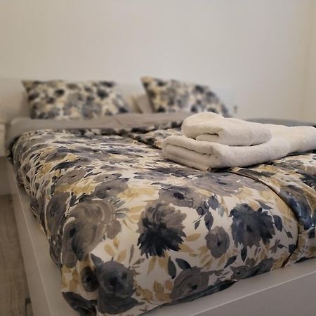 Apartman Milica Vrsac Esterno foto