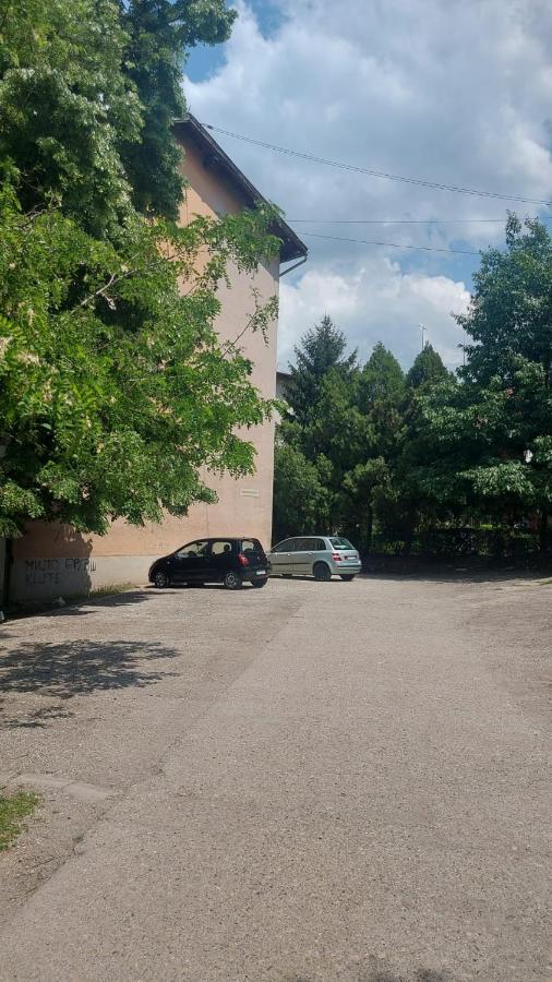 Apartman Milica Vrsac Esterno foto