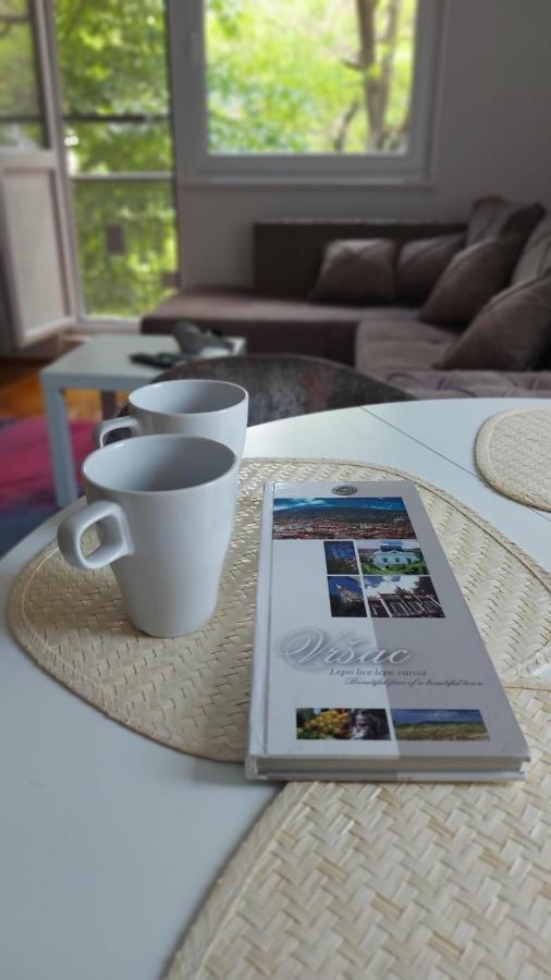 Apartman Milica Vrsac Esterno foto