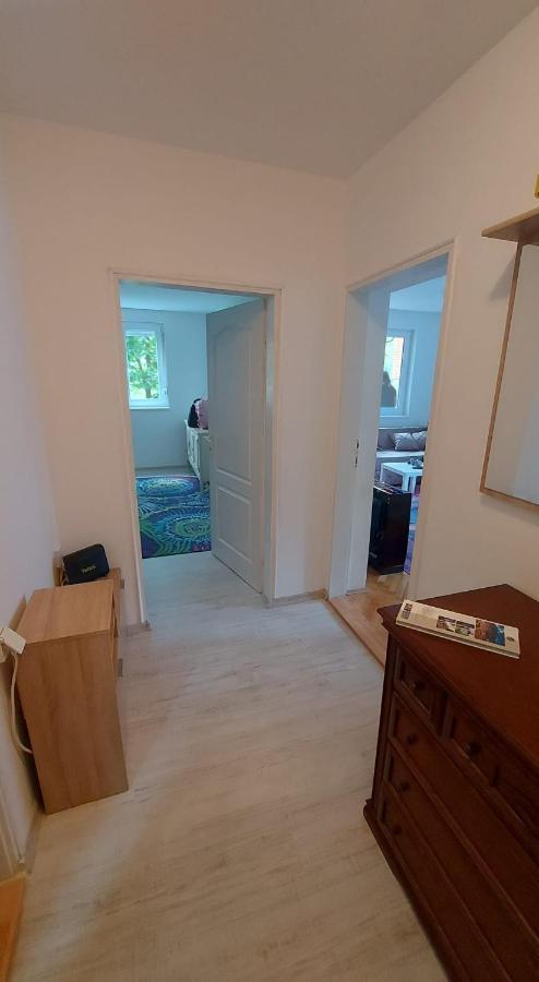 Apartman Milica Vrsac Esterno foto