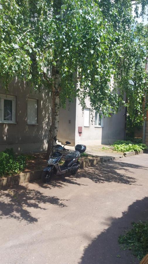 Apartman Milica Vrsac Esterno foto