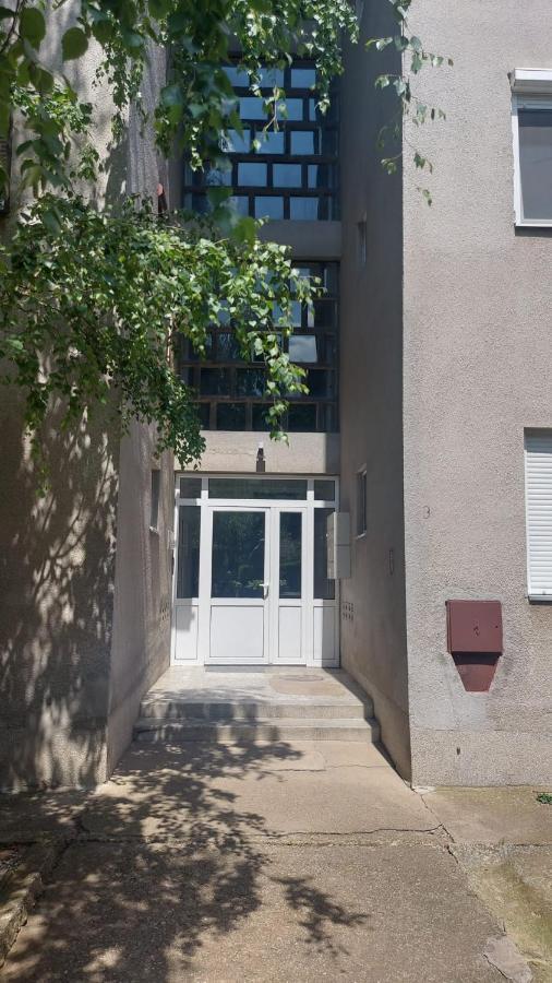 Apartman Milica Vrsac Esterno foto