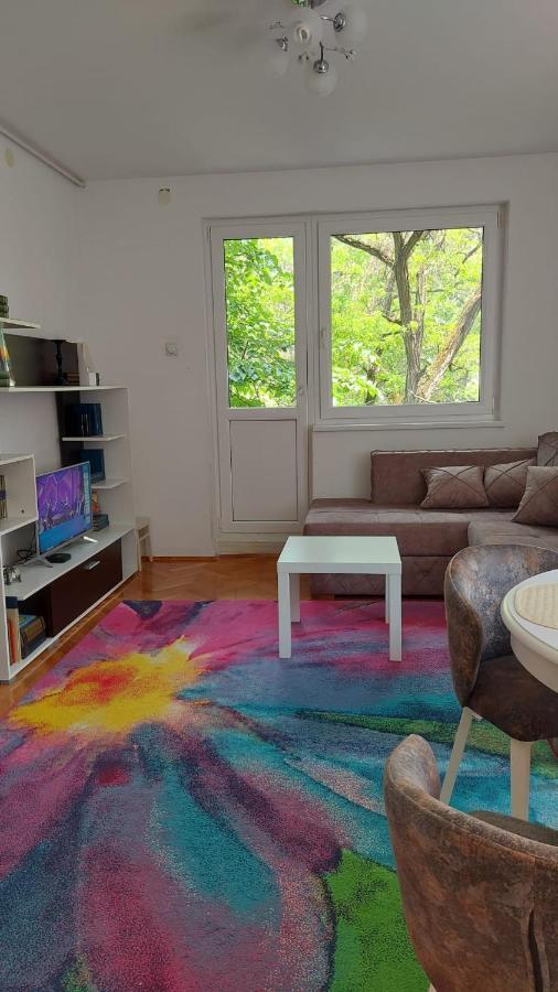 Apartman Milica Vrsac Esterno foto