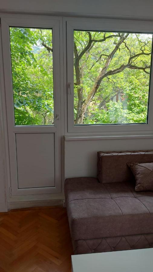 Apartman Milica Vrsac Esterno foto